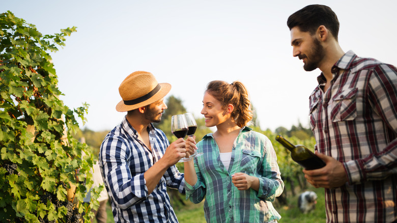 Tourists tasting wine in vineyard