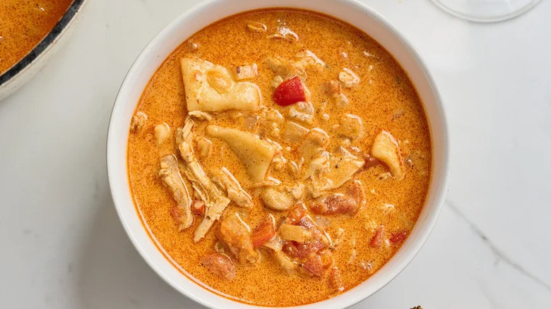 Paprikash-Style Chicken and Dumplings Soup in white bowl