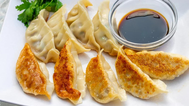Savory Fried Pork and Cabbage Gyoza on white plate with dipping sauce