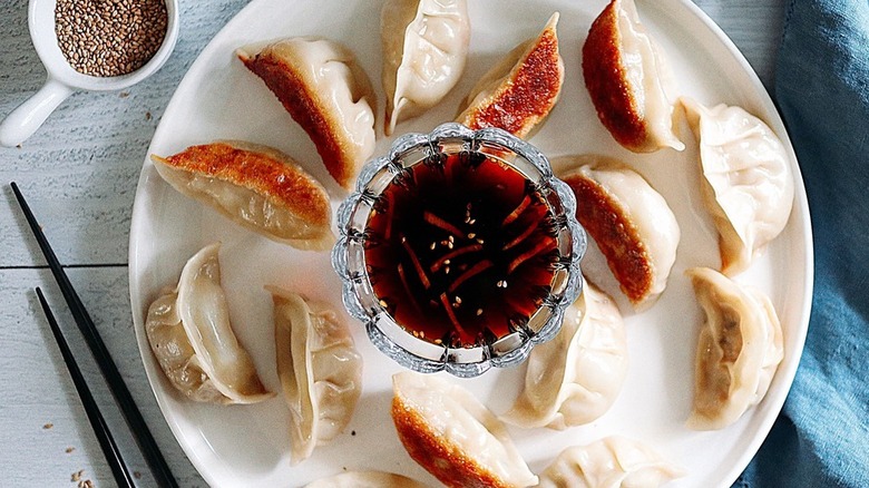 Spicy Chicken Potstickers on white plate with dipping sauce
