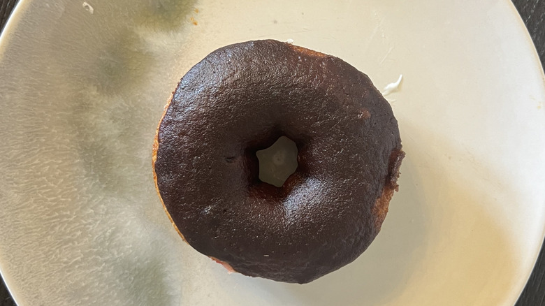 Duck Donuts chocolate iced donut on plate.