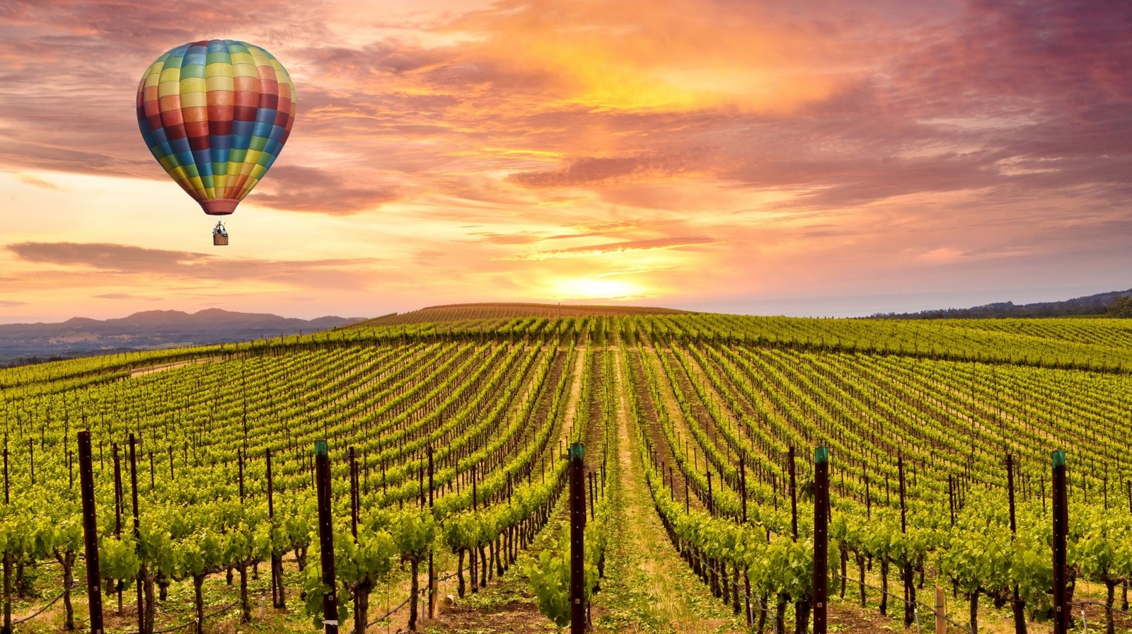 24 Top-Rated Napa Valley Wineries To Visit