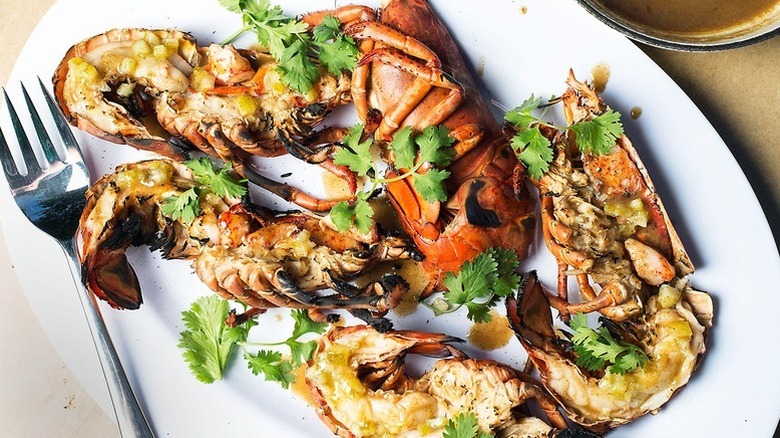 Grilled lobster on plate with fresh cilantro sprigs