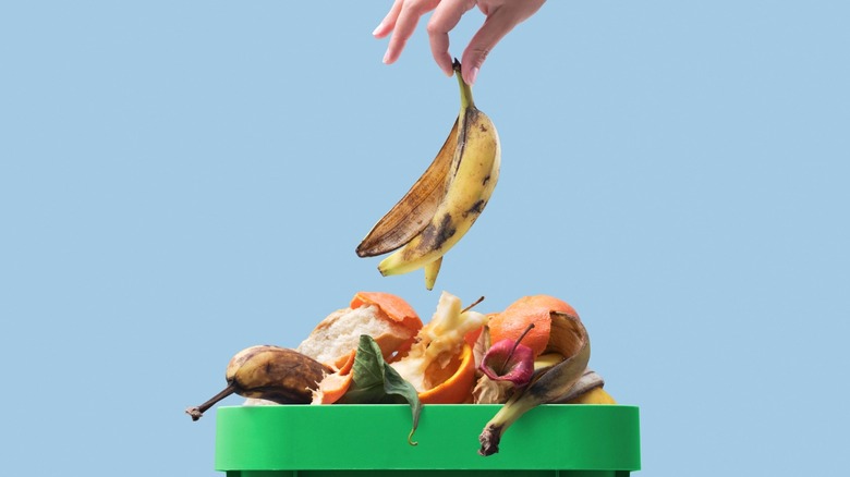 container of organic food waste