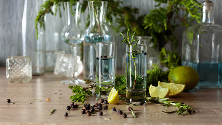 Glasses of gin with juniper berries and other botanicals