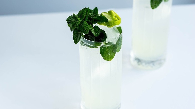 Mojito cocktail garnished with fresh mint and a lime twist