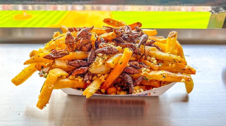Toasted grasshoppers on garlic fries