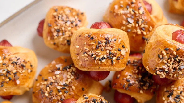 mini pigs in a blanket