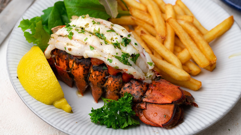 Broiled lobster tail on plate with fries, salad, and lemon wedge.