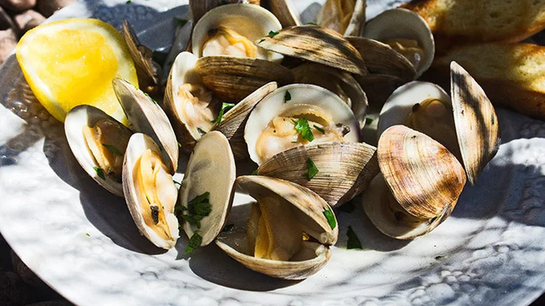 clams on a plate