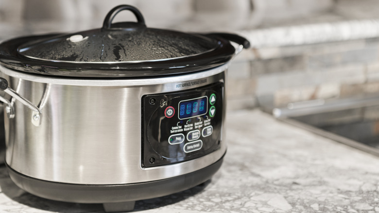 A modern slow cooker on a kitchen counter
