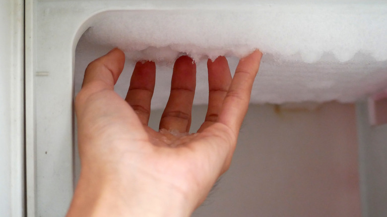 A hand touching accumulated frost at the top of a freezer