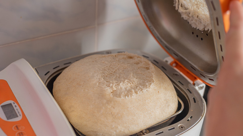 Woman opening bread maker
