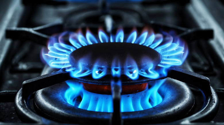 Bright blue flames burning on a dark gas stovetop element.