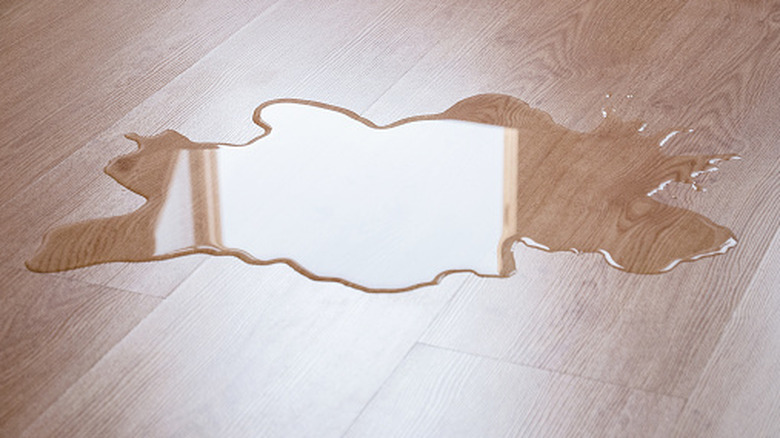 Water spilled on kitchen floor