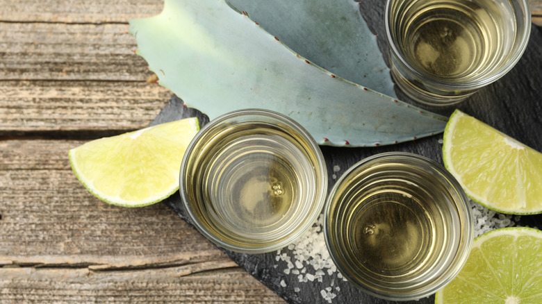 Three small glasses of reposado tequila surrounded by salt, lime, and agave leaves.