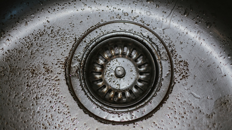 Coffee grounds scattered in a sink