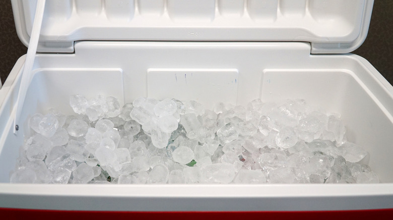 An open cooler full of ice