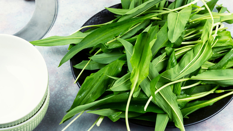 ramp leaves piled on plate