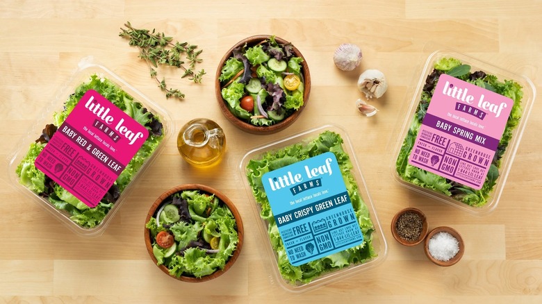 Plastic packs of lettuce from Little Leaf Farms on wooden surface next to bowls of salad, oil bottle, garlic bulb, and herbs and spices