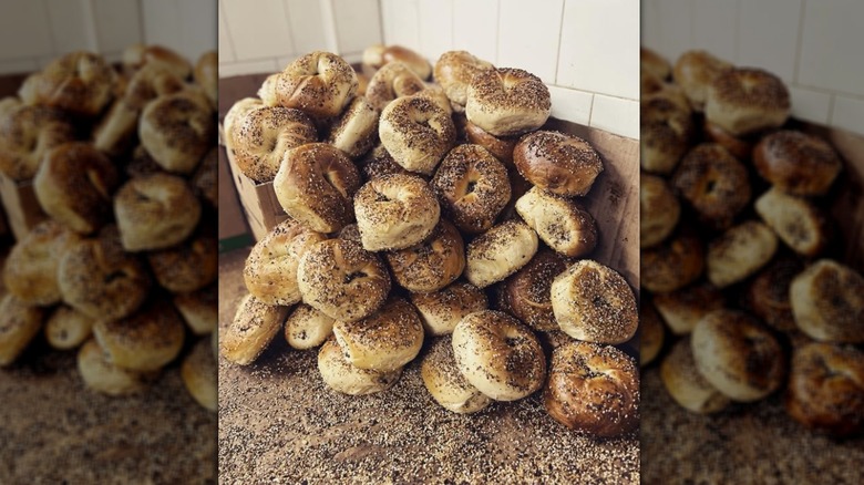 Pile of everything bagels