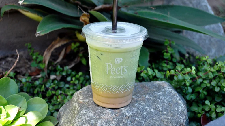 Peet's Iced Pumpkin Matcha Latte sitting on rock outside