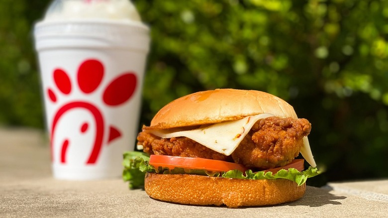 A Chick-fil-A Chicken Sandwich with Pepper Jack cheese, tomatoes, lettuce, and pickles