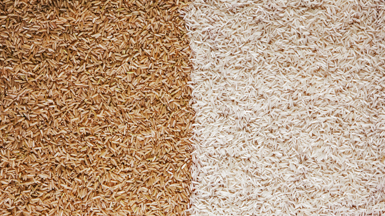 Brown rice grains and white rice grains side by side