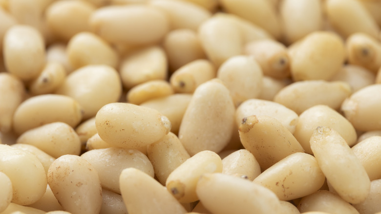 Pine nuts as background