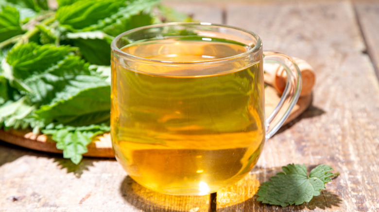 A glass of nettle tea, with nettle leaves in the background