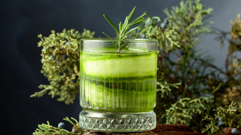 A glass of cucumber water with a rosemary sprig rests on a tableau of juniper and driftwood