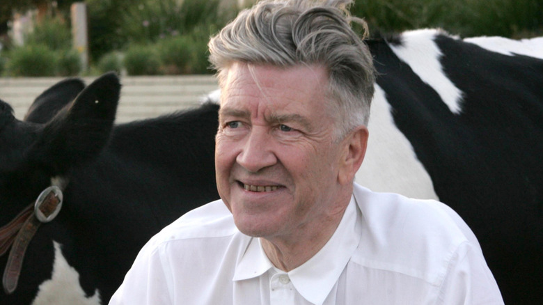 David Lynch with a cow
