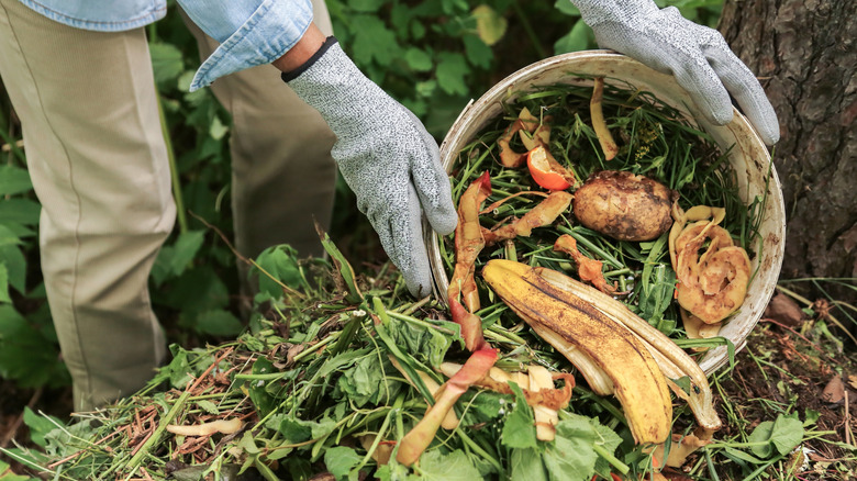 adding scraps to compost heap