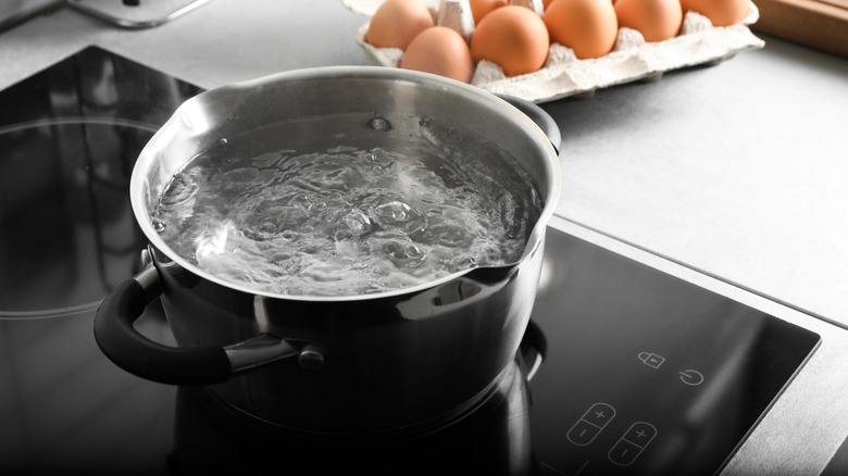 A close-up of a pot of water boiling on an induction range