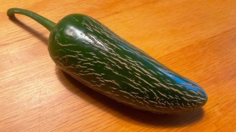 A close up of a jalapeño pepper covered in corking.