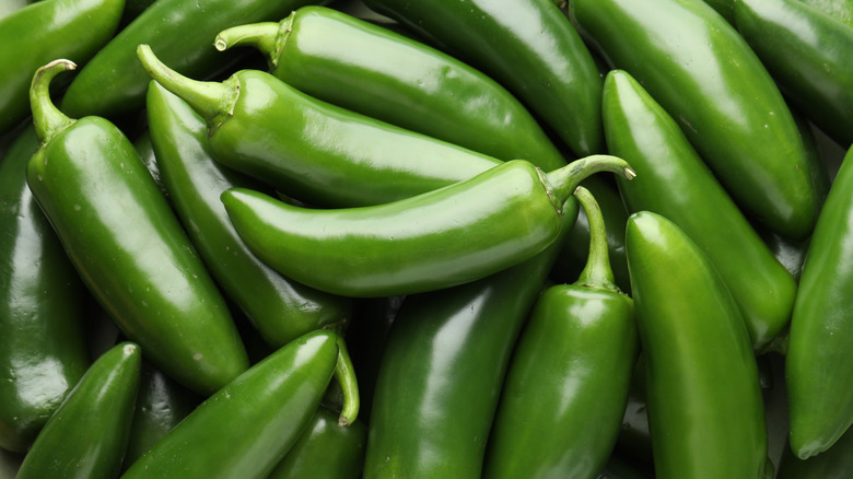 A close-up of a pile of fresh green jalapeños.