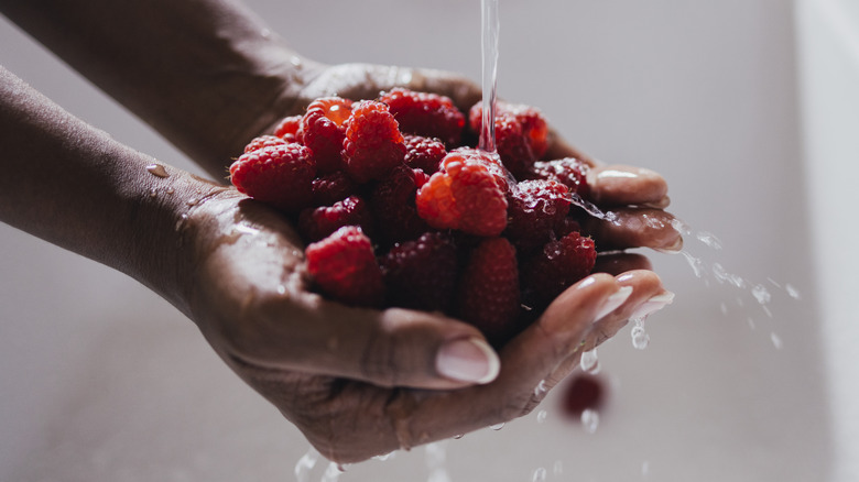 hands washing raspberries
