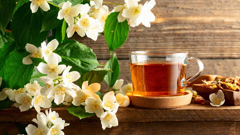 A glass cup of jasmine tea surrounded by jasmine flowers