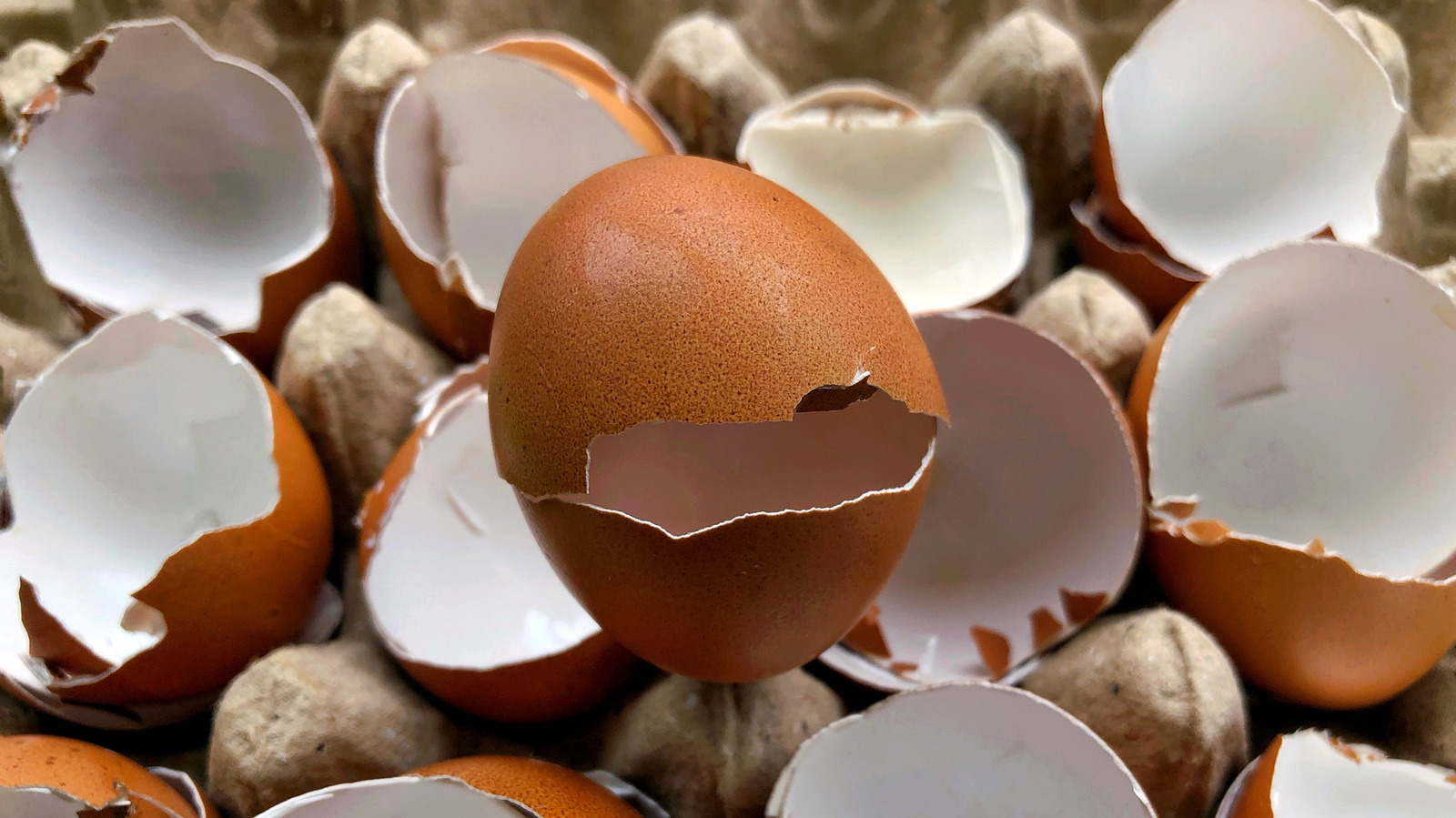 6 Creative Ways To Use Eggshells In The Kitchen - Tasting Table