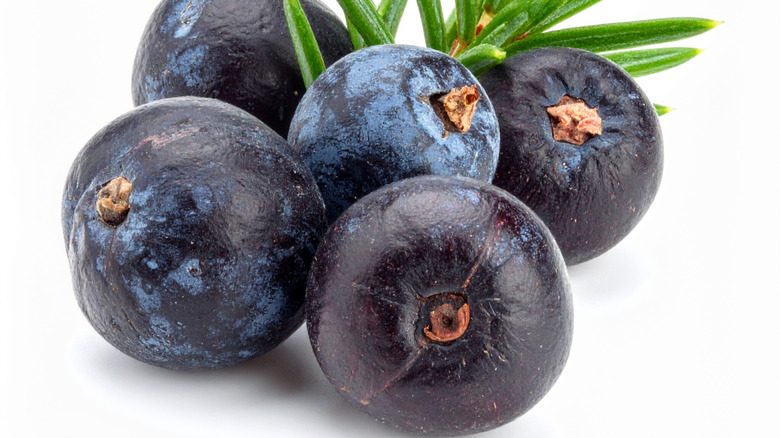Whole juniper berries on white background