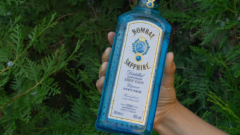 Hand holding Bombay Sapphire bottle against greenery