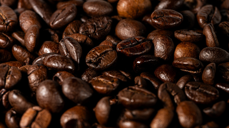 Oily-looking coffee beans