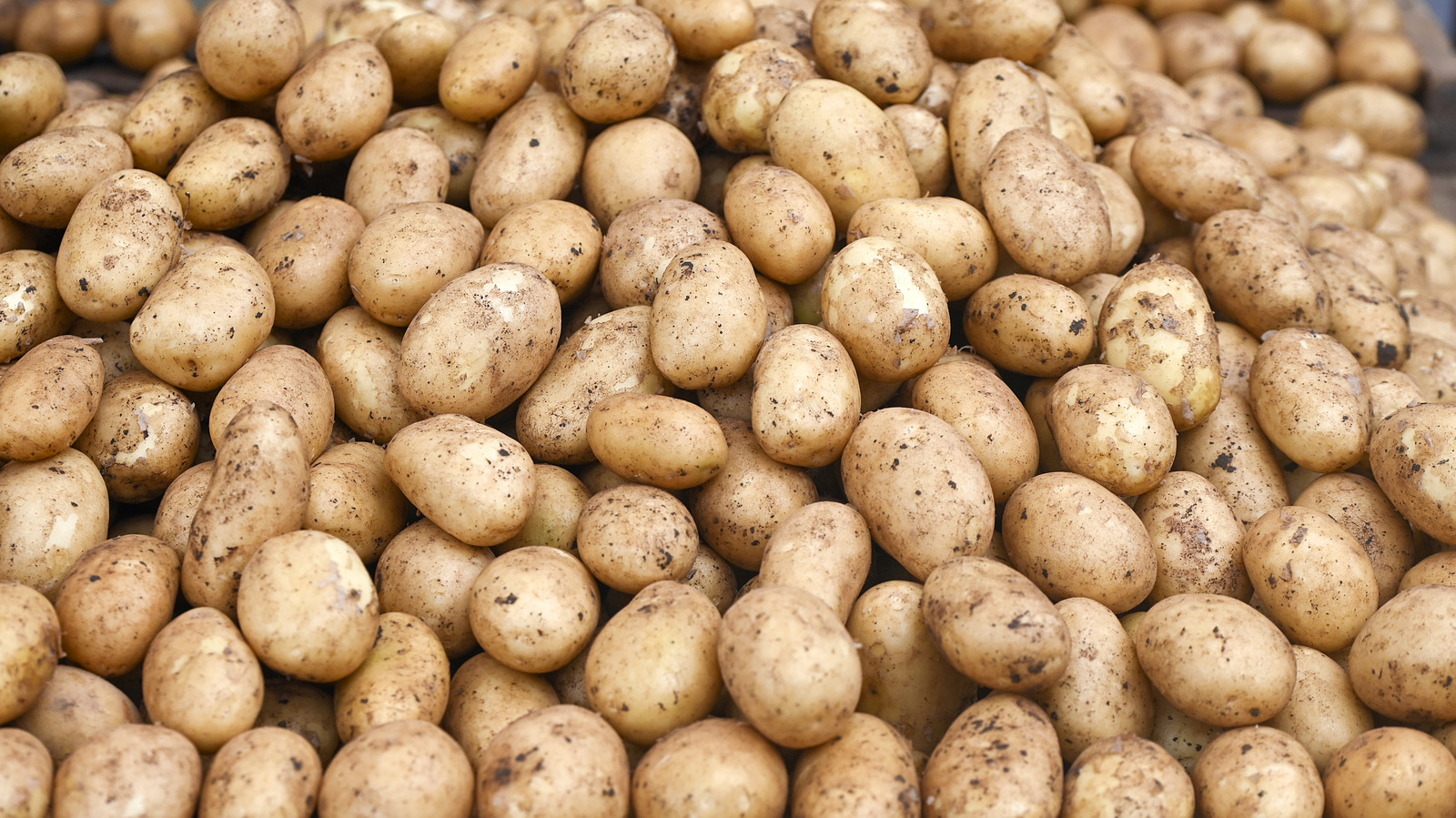 6 Potato Myths People Actually Still Believe - Tasting Table