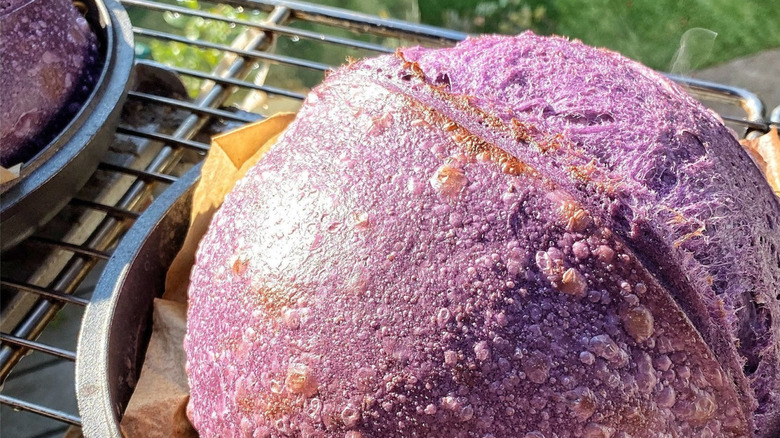 A loaf of Rize Up Ube sourdough on a baking tray on a coolign rack outdoors