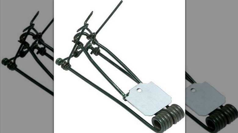 A green metal trap with spikes and a silver plate