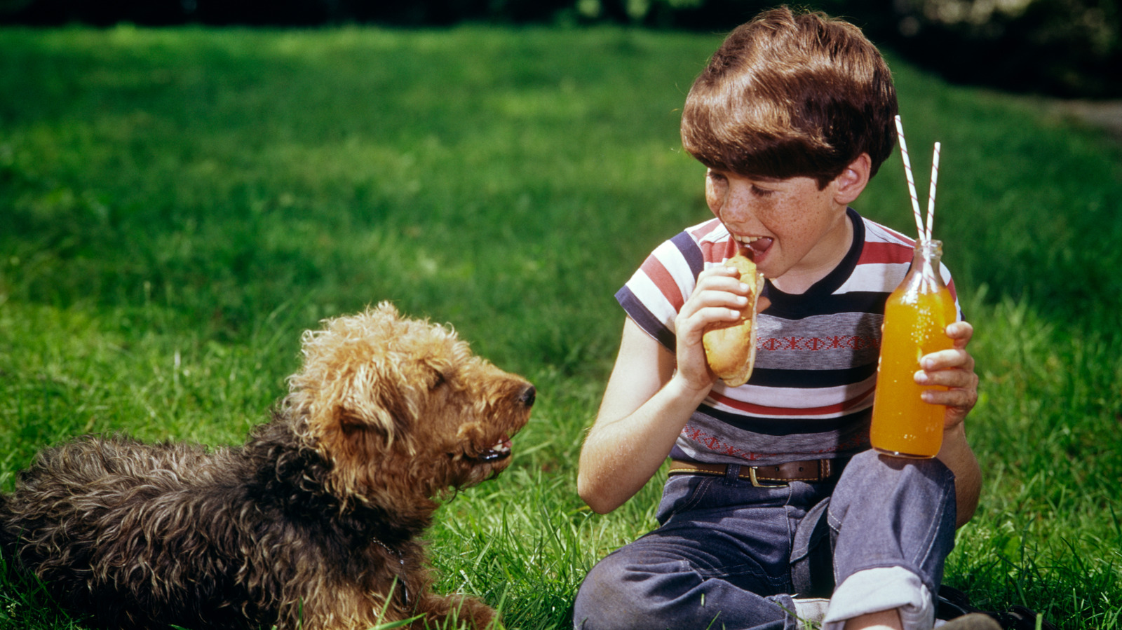 6 Sodas Boomers Miss Drinking - Tasting Table