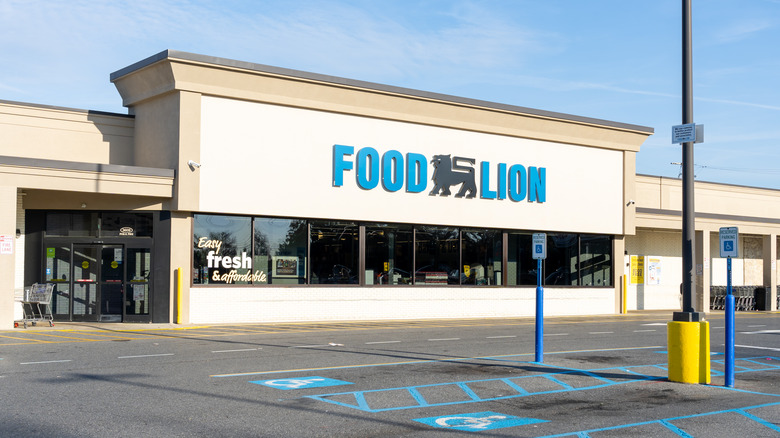 Exterior of a Food Lion under a blue sky