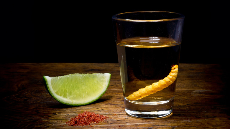 Shot of tequila with a worm in it