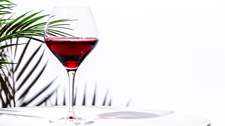 Grenache wine with fern against a white backdrop