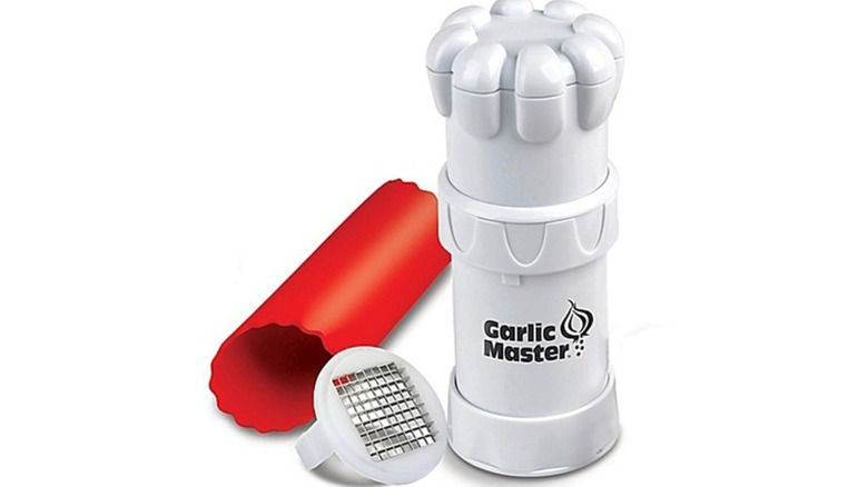 garlic master with pieces displayed on white background